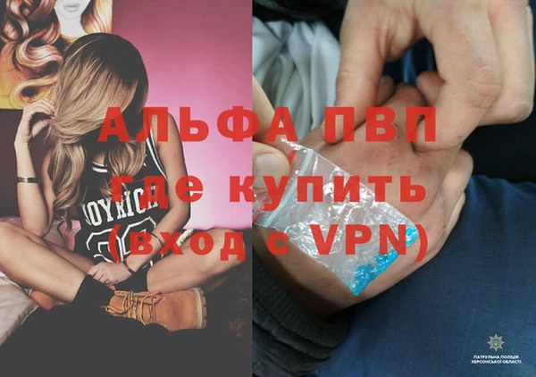 стафф Киренск