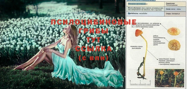 mdma Киреевск