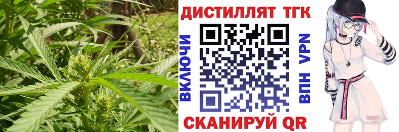 ТГК THC oil Бабаево