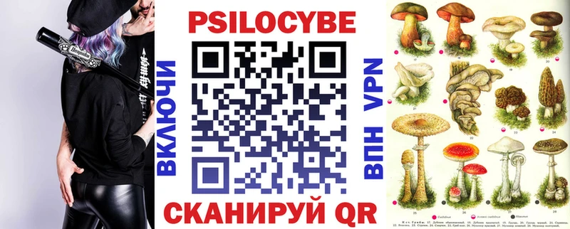 Псилоцибиновые грибы MAGIC MUSHROOMS  Купить  Бабаево 